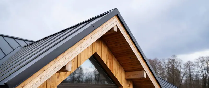 Roof Repair & Leaks
