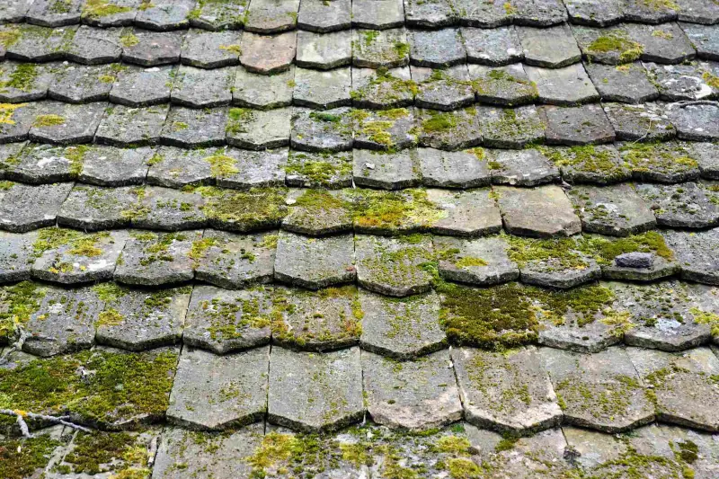 How to Remove Moss From Your Roof