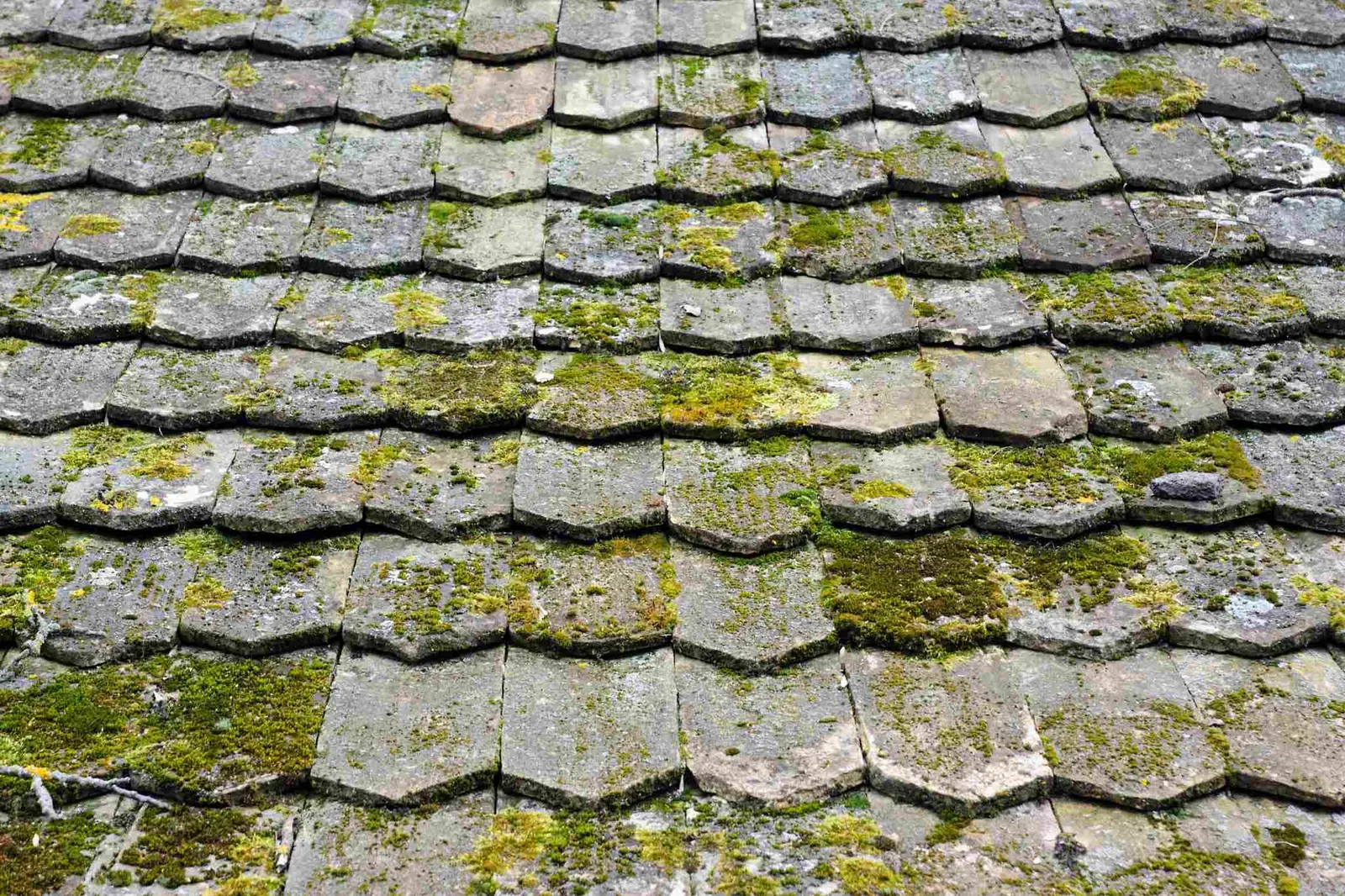 How to Remove Moss From Your Roof
