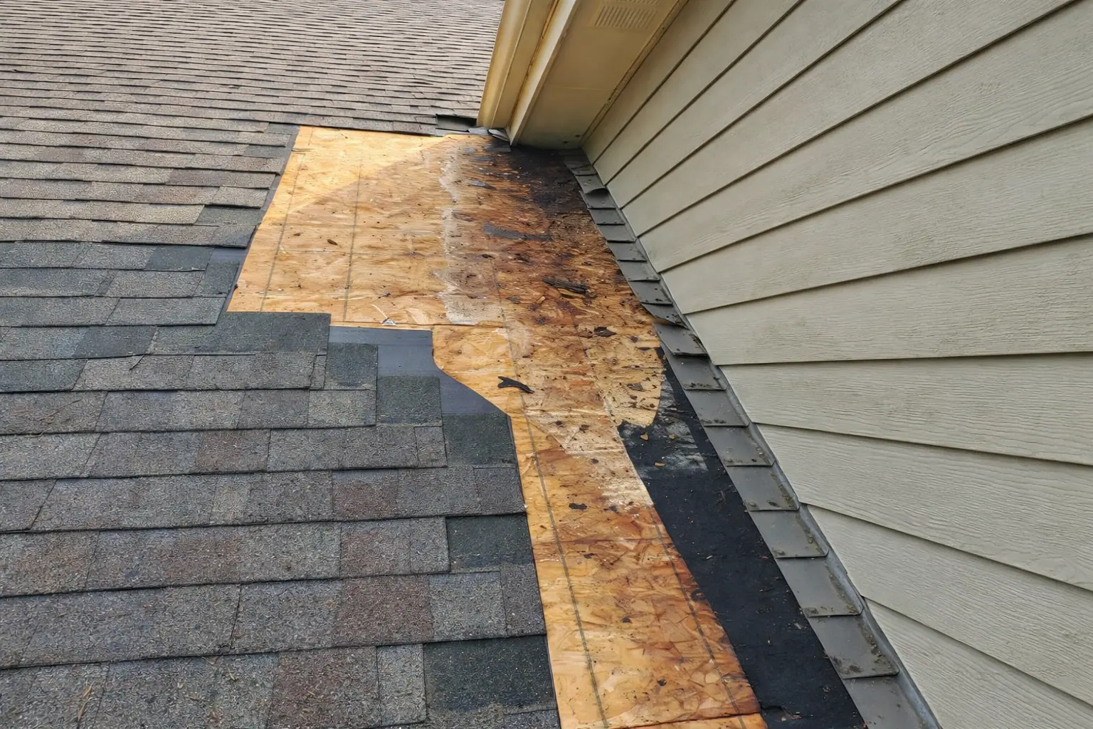 Why Is My Roof Leaking? Common Causes and What Homeowners in Minnesota Should Know